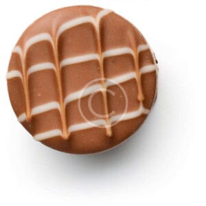 Pretzel Turtle